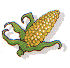 corn