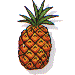 pineapple(s)